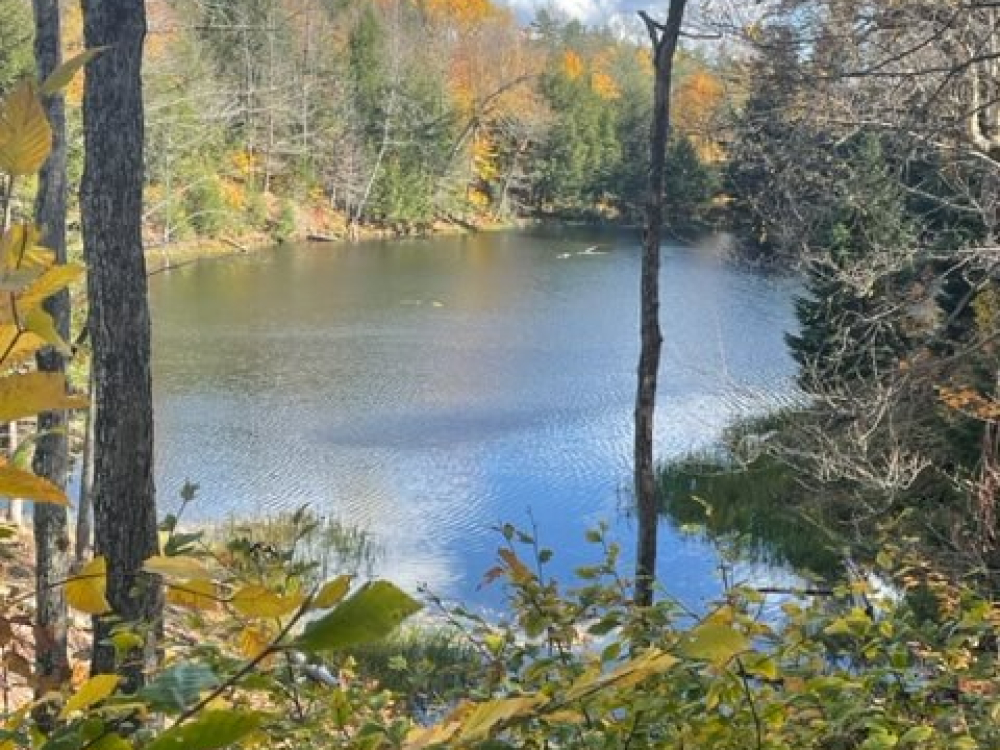 7 Acres Of Adirondack Waterfront Property For Sale Twin Ponds