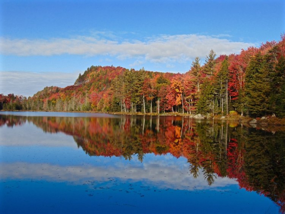 Adirondack Mountains Enveloped in Fall Colors