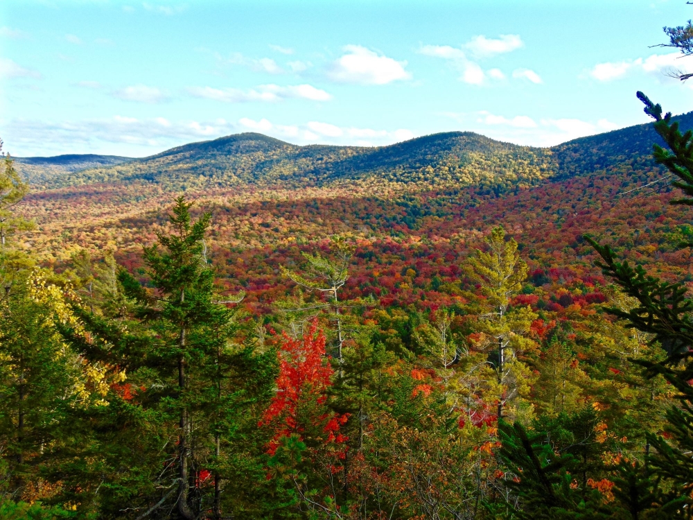 Adirondack Mountains Through the Seasons | Photo Gallery