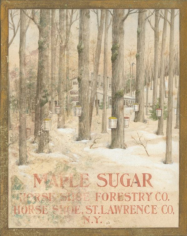 Maple Sugar Poster