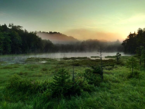 The Adirondack Mountains in the Summer