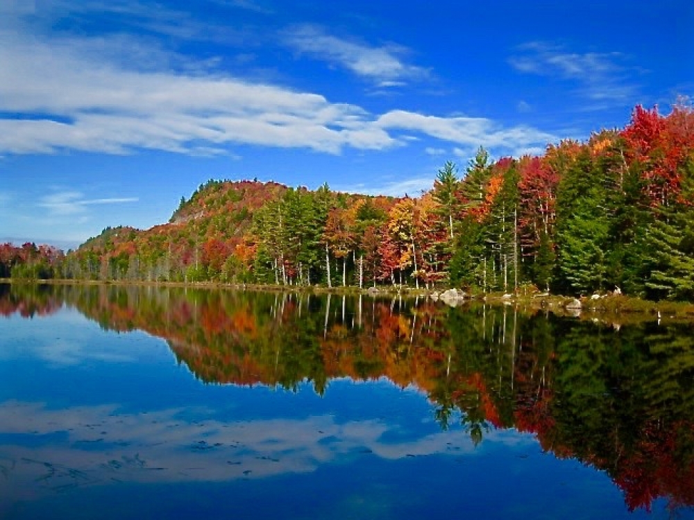 Adirondack Property | Peace in the Middle of Chaos