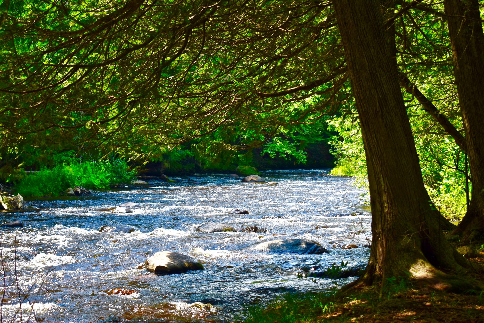 Find Adirondack Land for Sale, Acreage and Waterfront Property