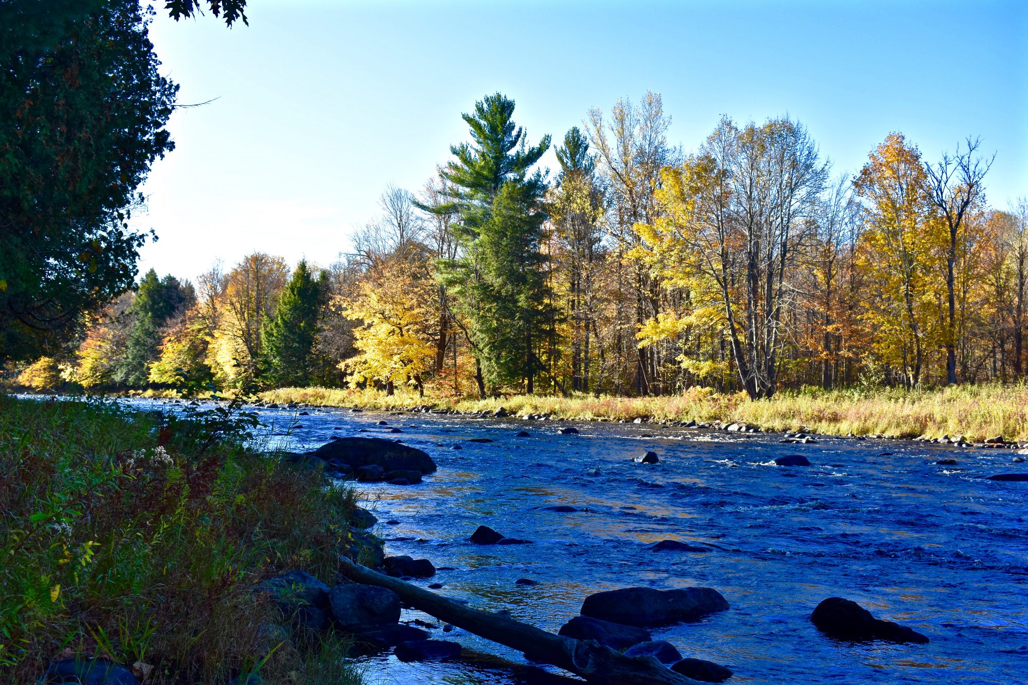 Adirondack Acreage Listings 