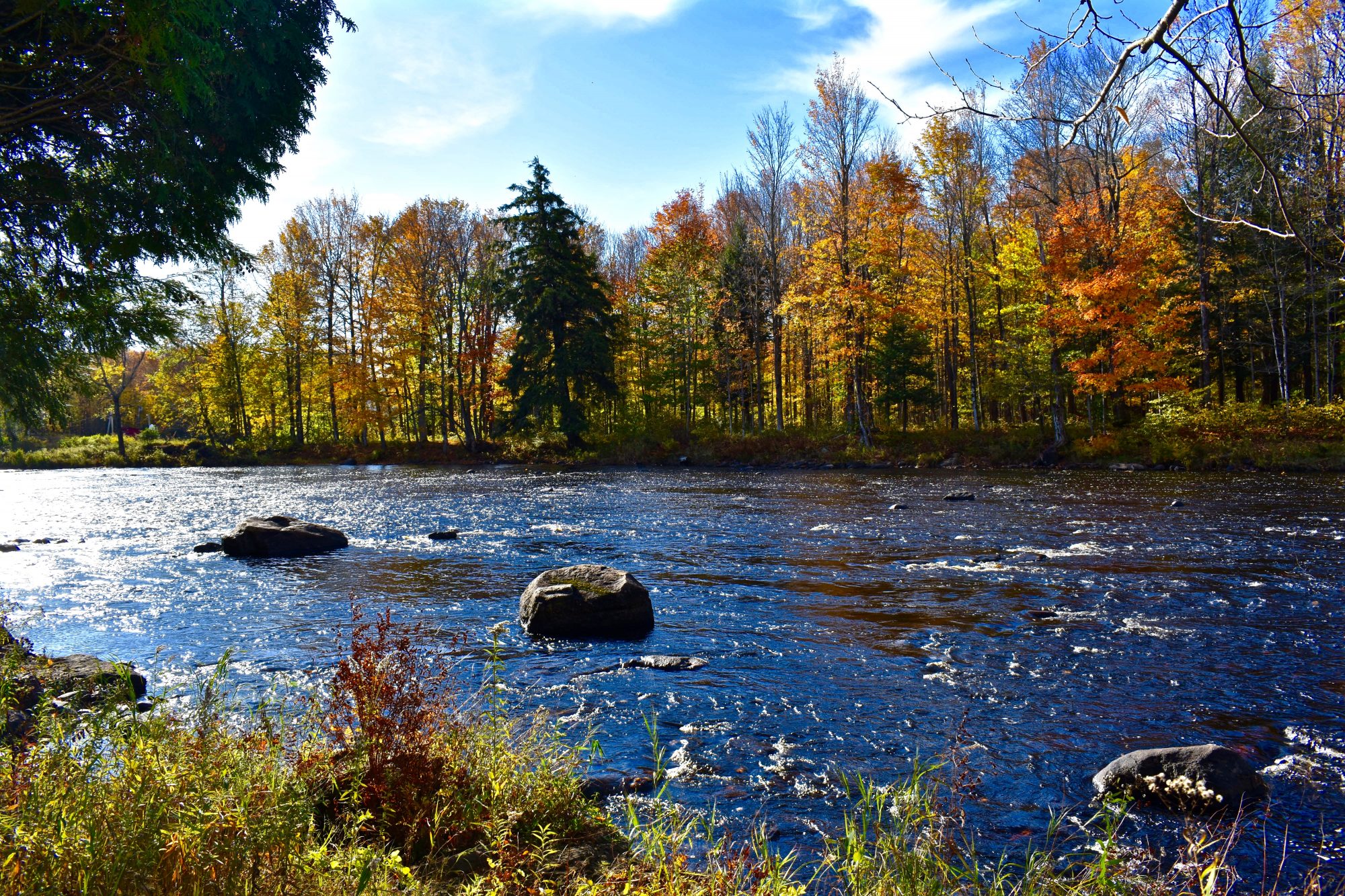 Adirondack Acreage Listings Adirondack Land for Sale