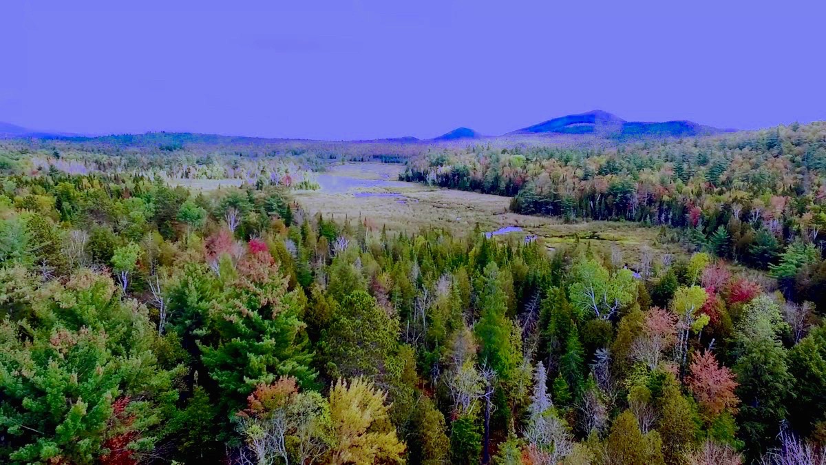 Cheap Adirondack Land For Sale