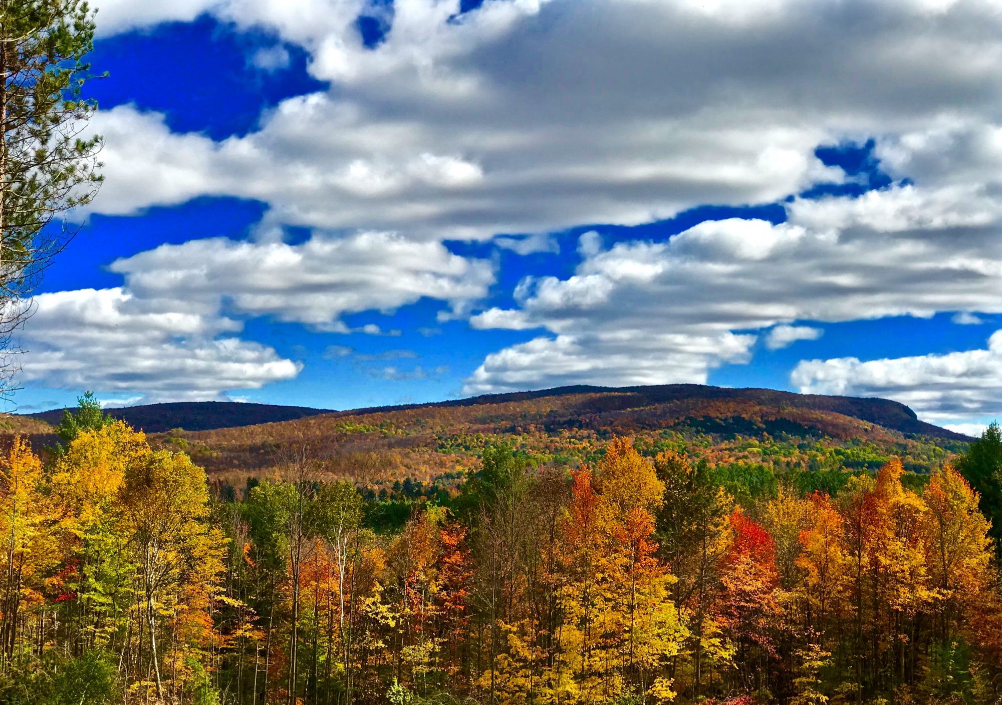 Adirondack Park Land For Sale