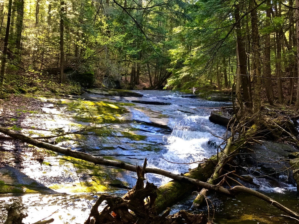 Adirondack Land Close To Lake Placid And Lake George New York