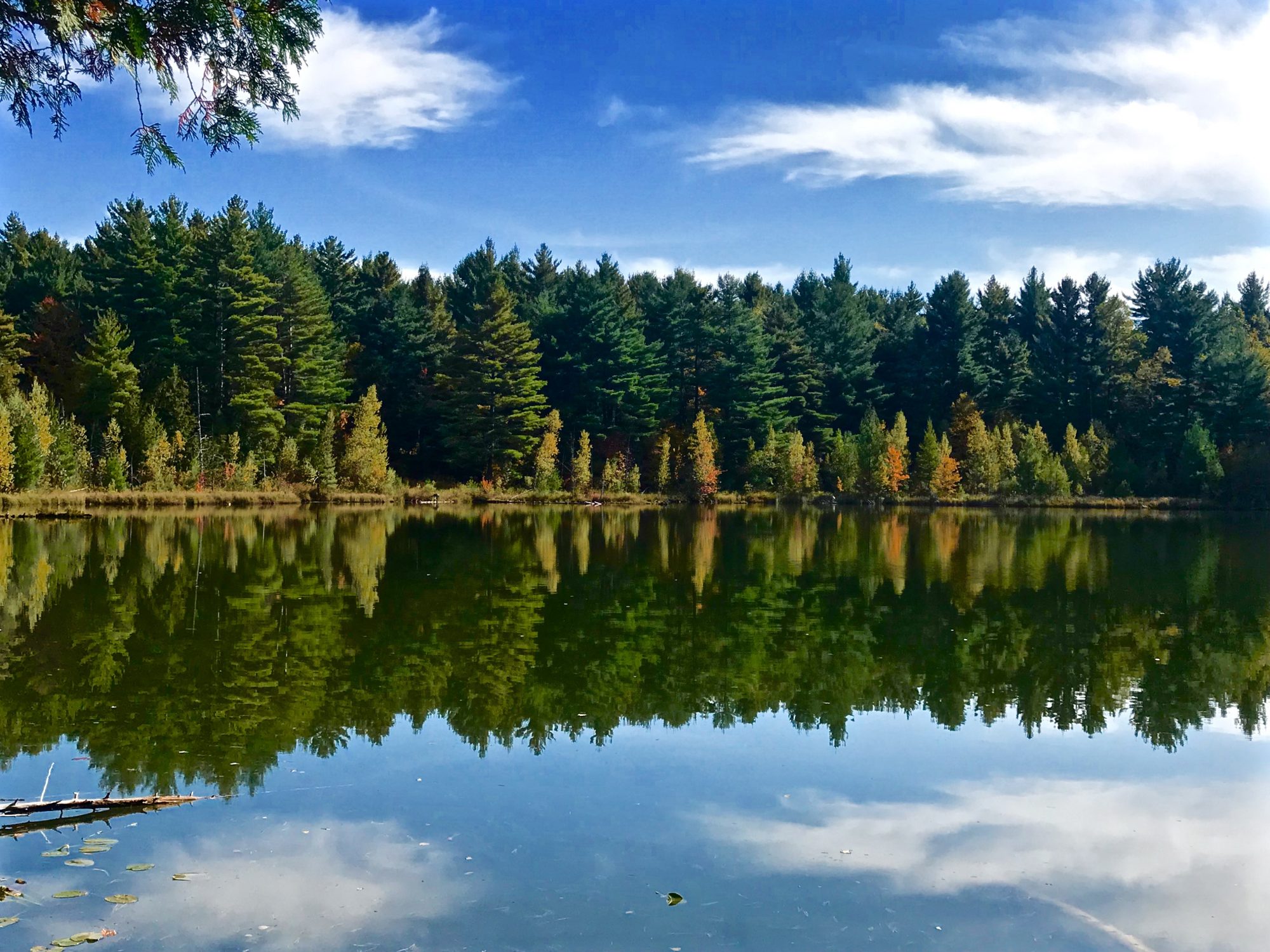 Land With Adirondack Log Cabins For Sale