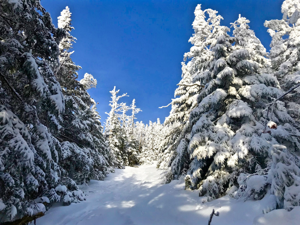 Winter Hiking & Snow Hikes In The New York Adirondacks