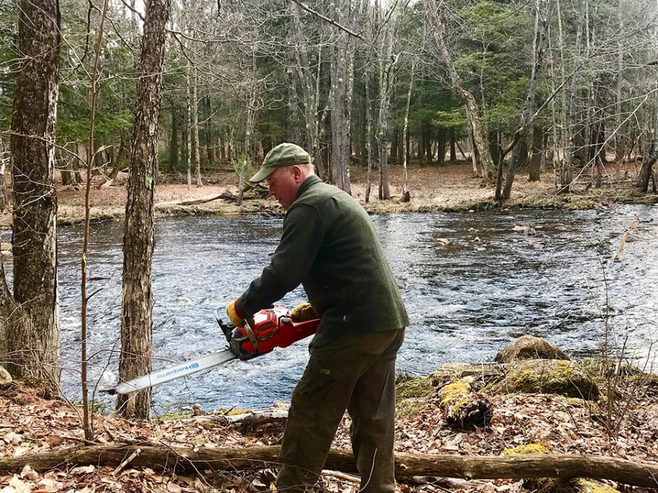 Mike Black cutting down tree with chainsaw