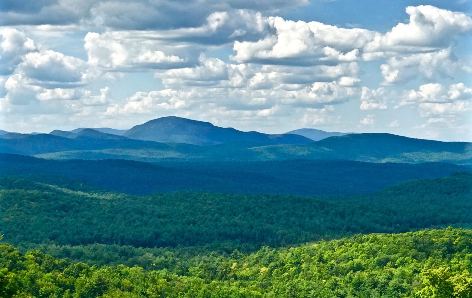 Lake Area Resources Land for Sale Near Lake