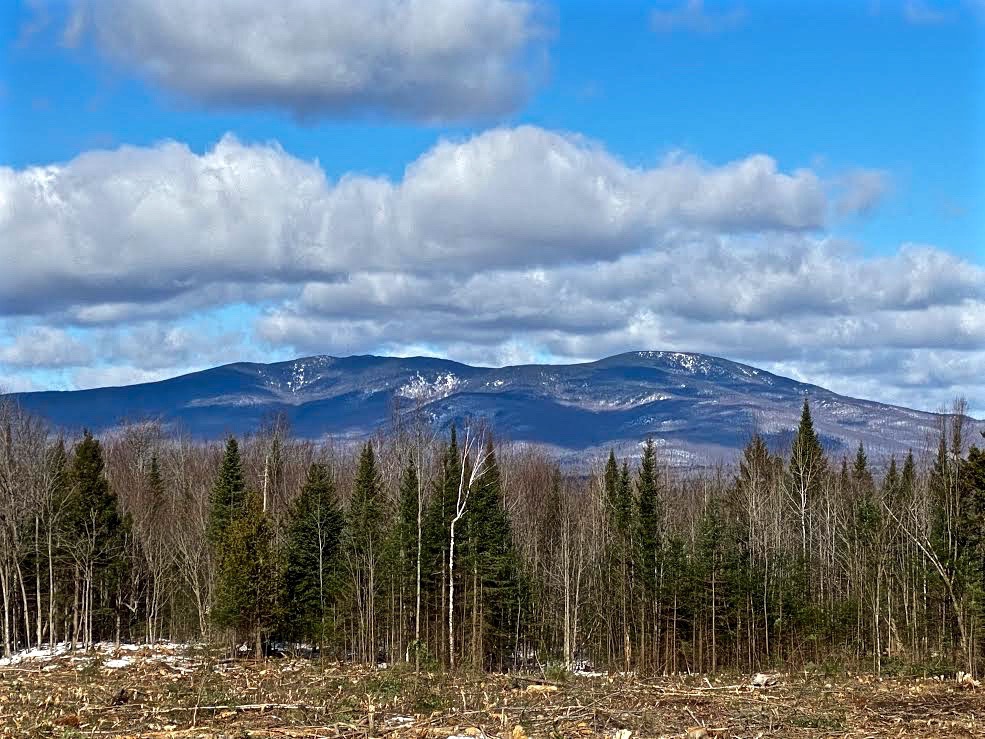 Land For Sale In The Adirondacks