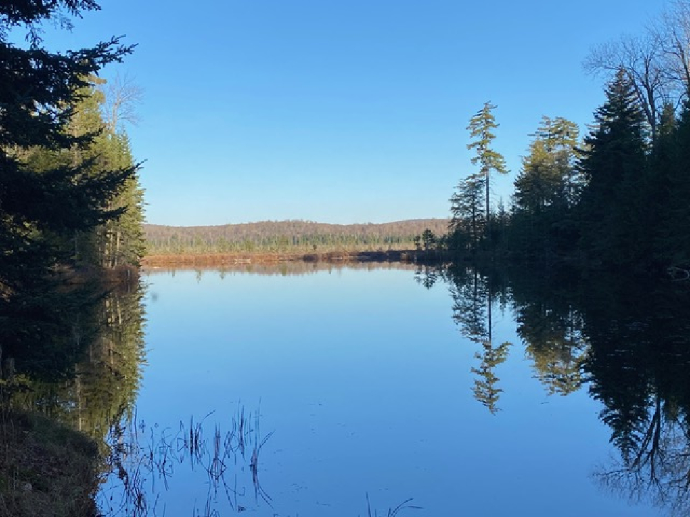 Buildable Lakefront Land for Sale Near Malone, NY