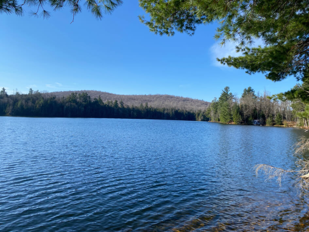 ADK Buildable Land for Sale with Lake Access, ONLY 49,000