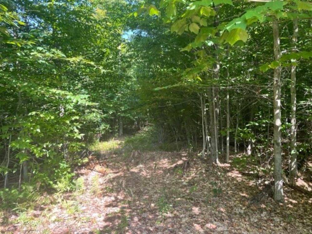 Large Acre Buildable Property for Sale in the Adirondacks