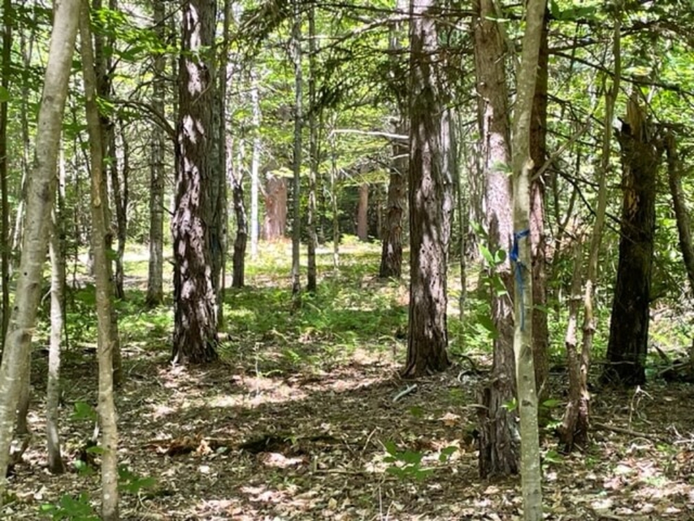 Mountain Property for Sale with Deeded Lake Access