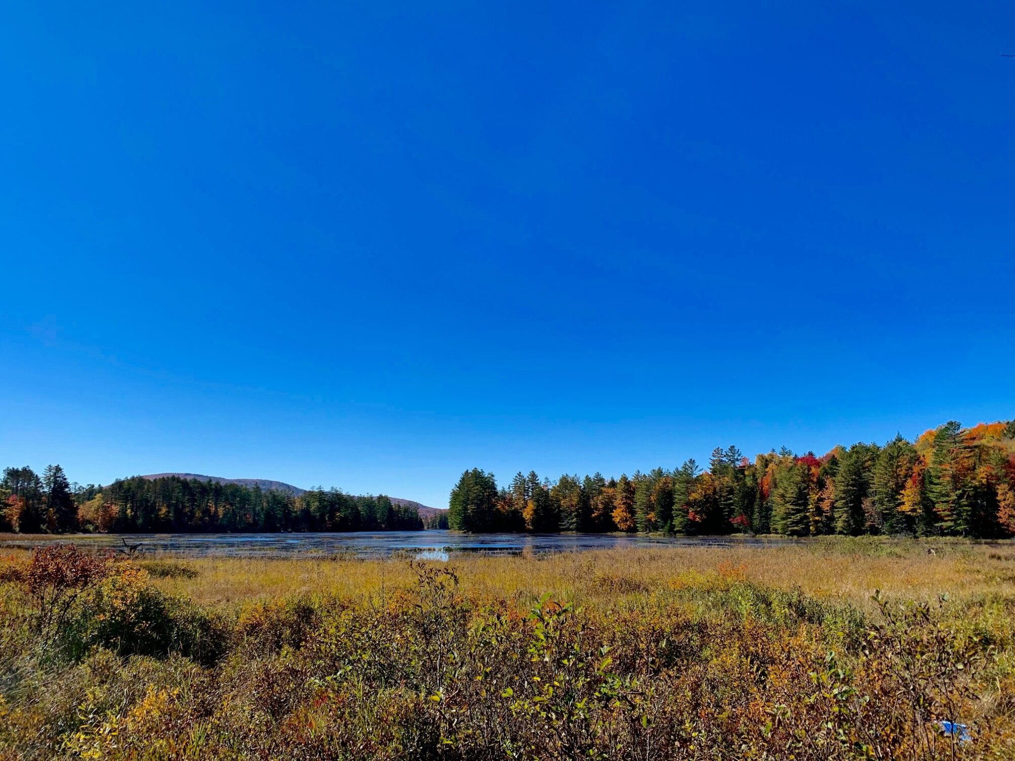 Adirondack Waterfront Land for Sale Lakes, Streams & Rivers