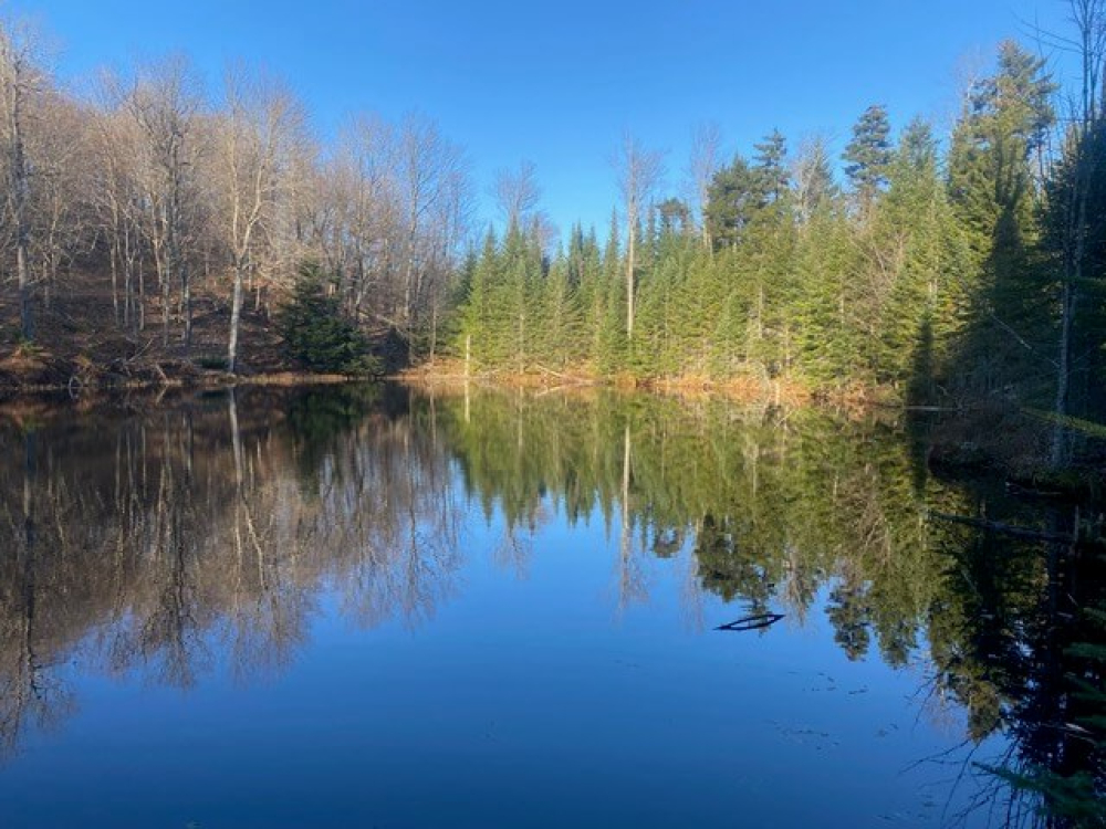 Lakefront Land for Sale with Private Pond Twin Ponds Preserve