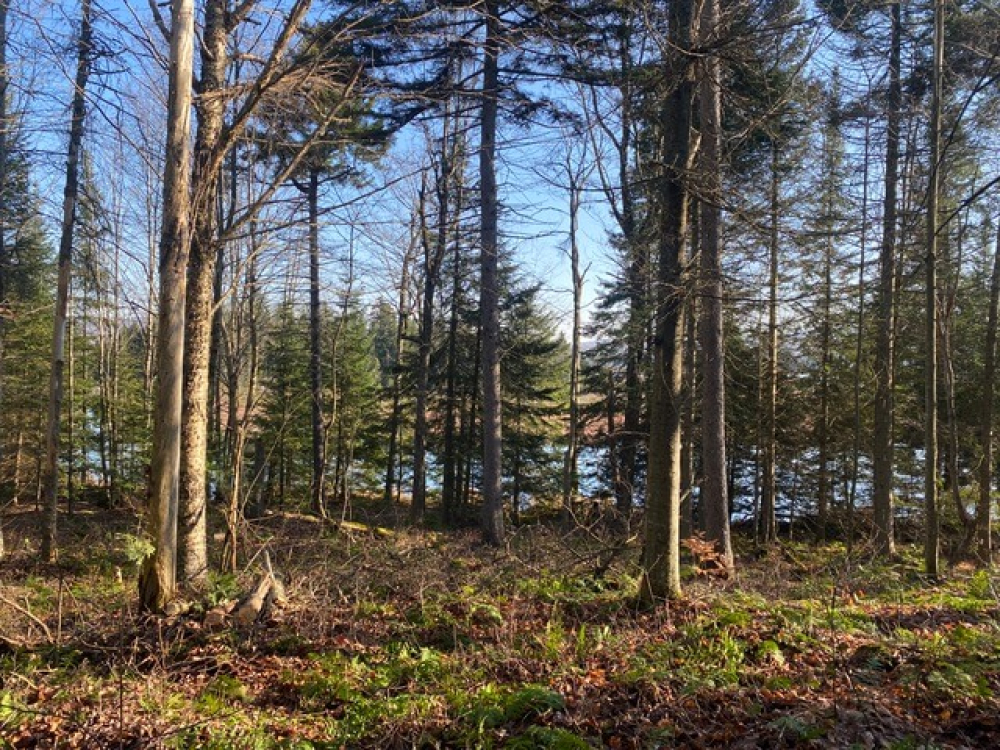 Lakefront Land for Sale with Private Pond Twin Ponds Preserve