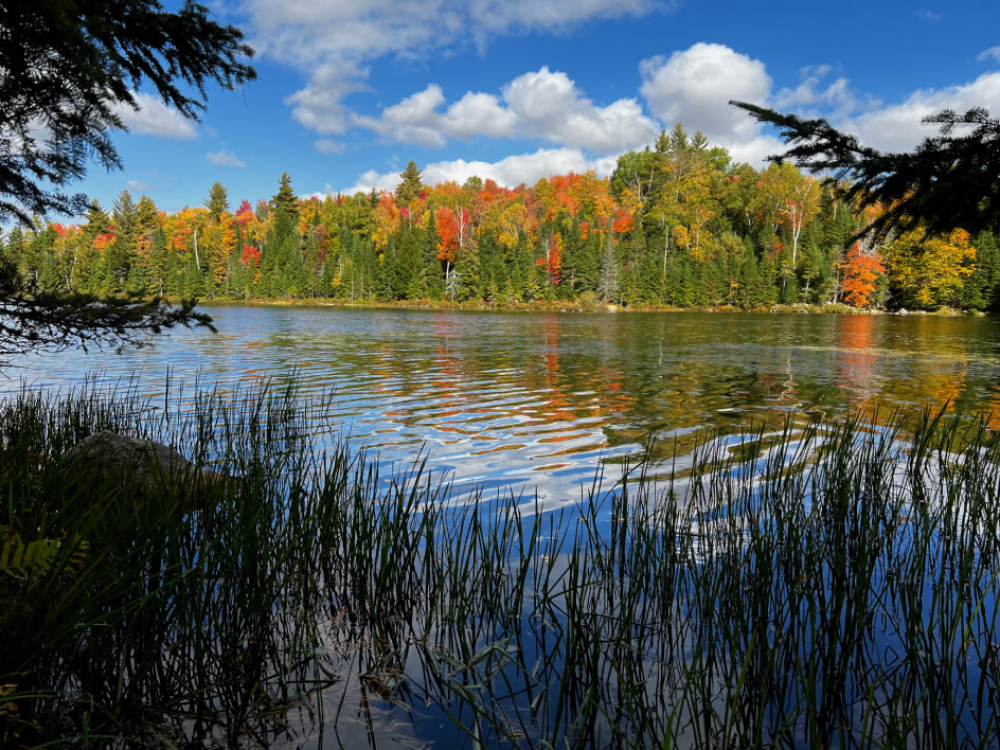 Adirondack Waterfront Property for Sale at Twin Ponds | Gallery