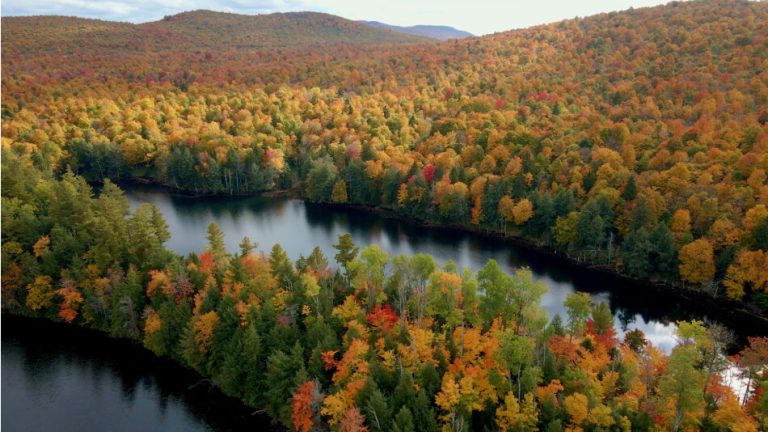 What Makes Twin Ponds Properties In The Adirondacks Different 