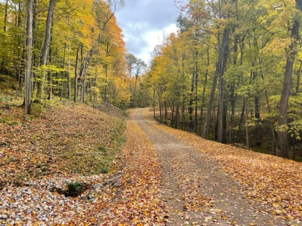 7 Acres of Adirondack Waterfront Property For Sale | Twin Ponds