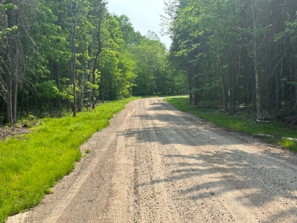 Secluded Land for Sale in the Adirondacks Twin Ponds Preserve