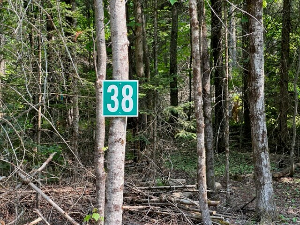 Secluded Land for Sale in the Adirondacks Twin Ponds Preserve