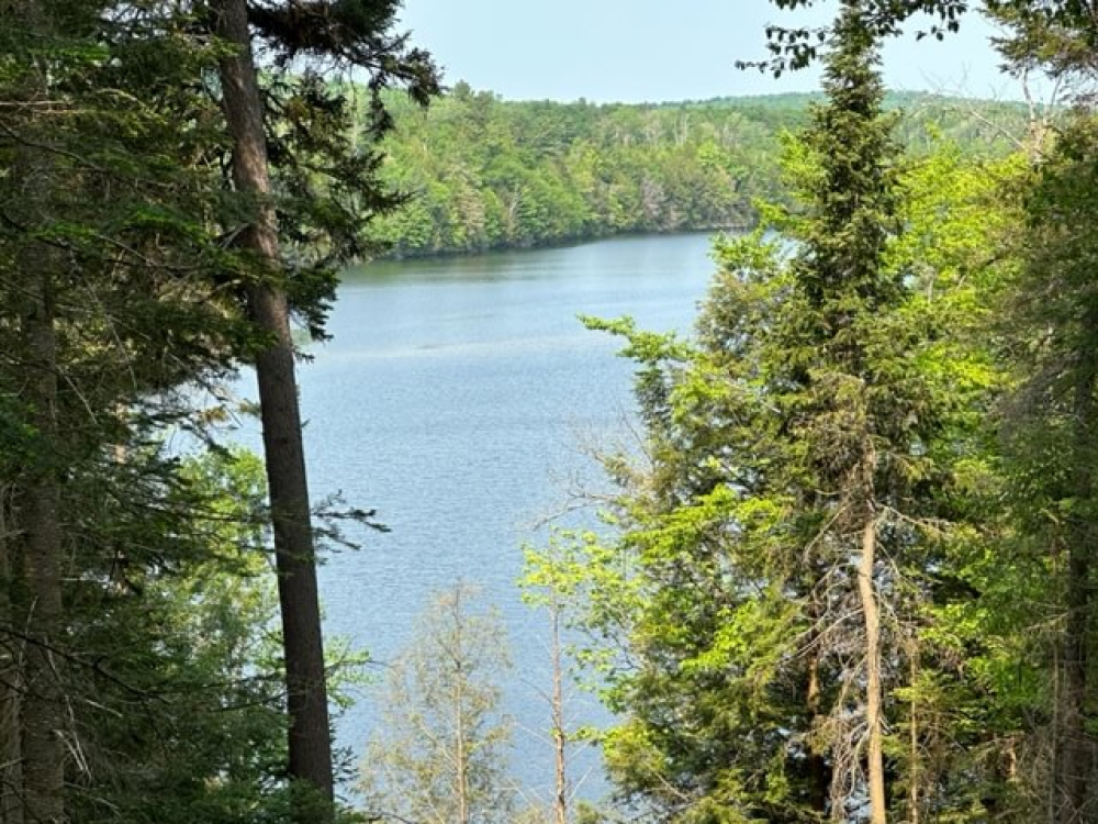 Buildable Waterfront Land for Sale in the Adirondacks