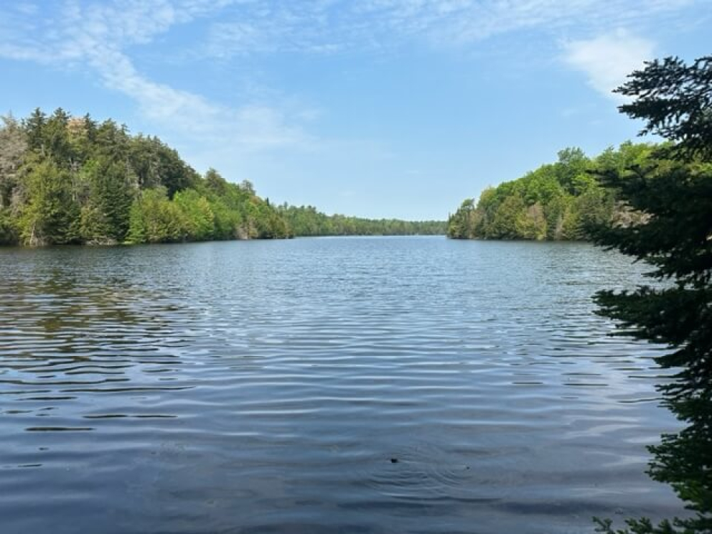 Buildable Waterfront Land for Sale in the Adirondacks