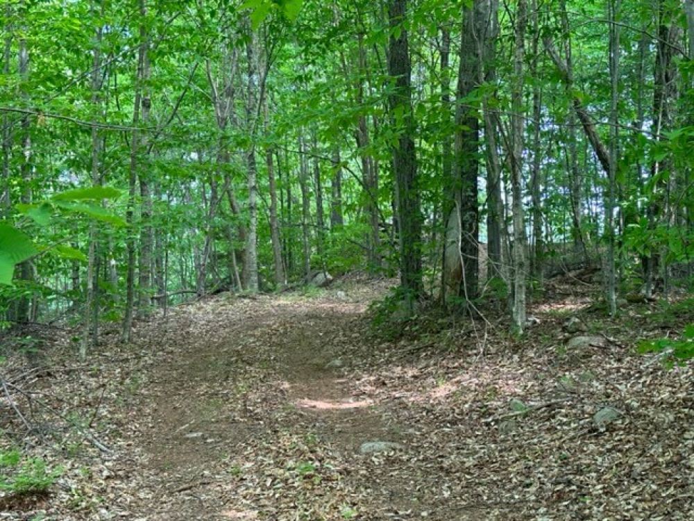 5.5 Acres of Waterfront Land for Sale at Twin Ponds Preserve