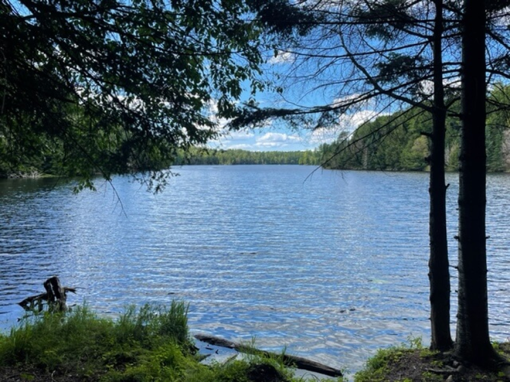 Secluded Land for Sale in the Adirondacks Twin Ponds Preserve
