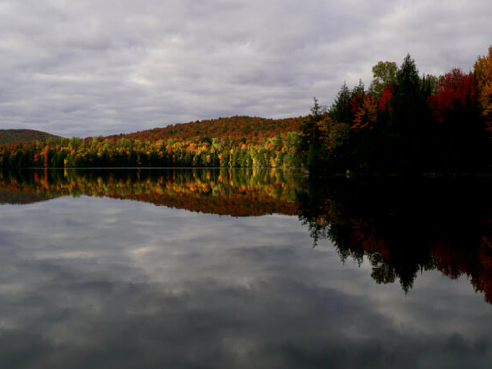 Buildable Waterfront Land for Sale in the Adirondacks