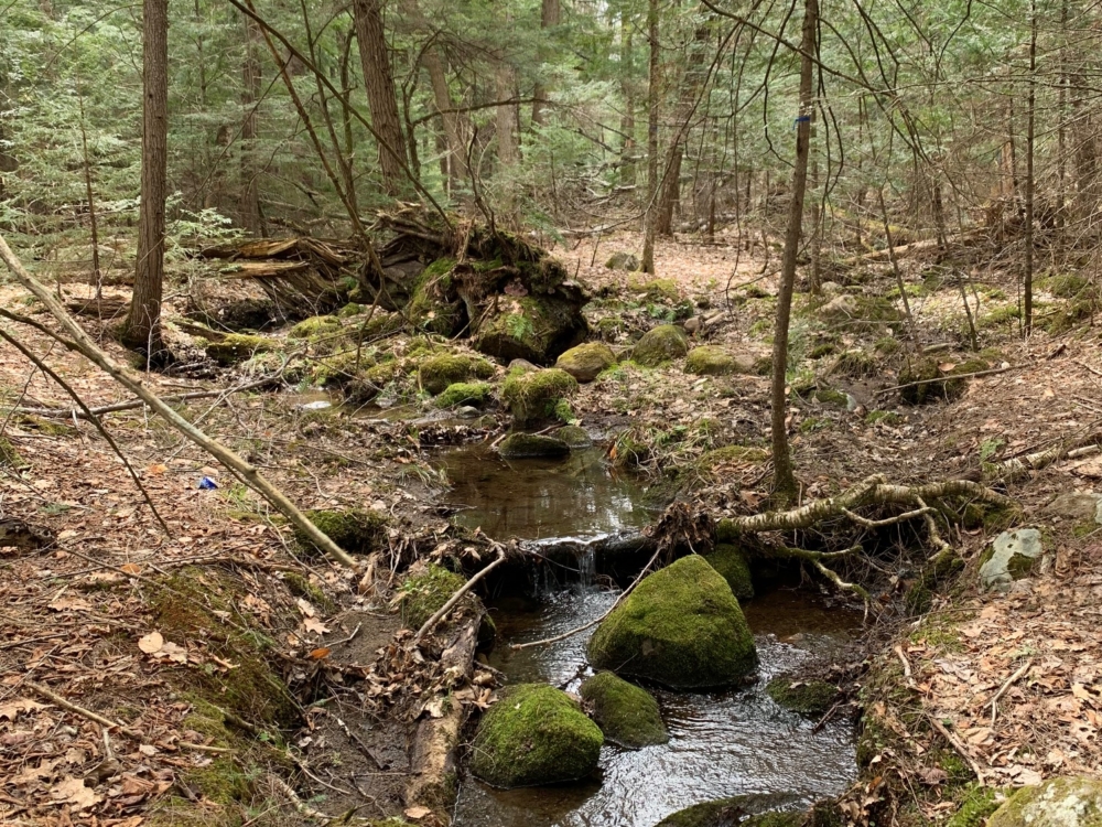 10 Acres of Buildable Land for Sale in Southern Adirondacks