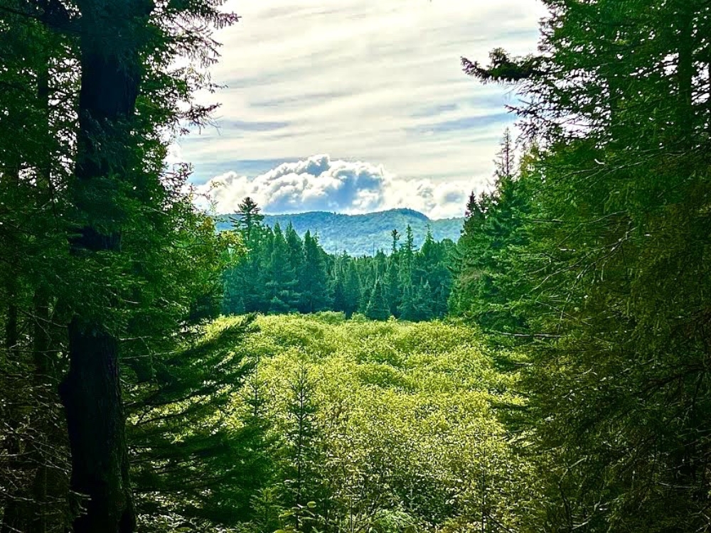 141 Acres of Remote Adirondack Land with River Frontage