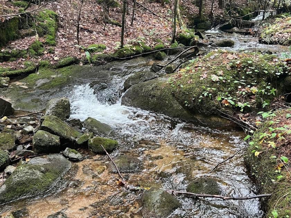 Lake Champlain Land for Sale with Off-Grid Cabin