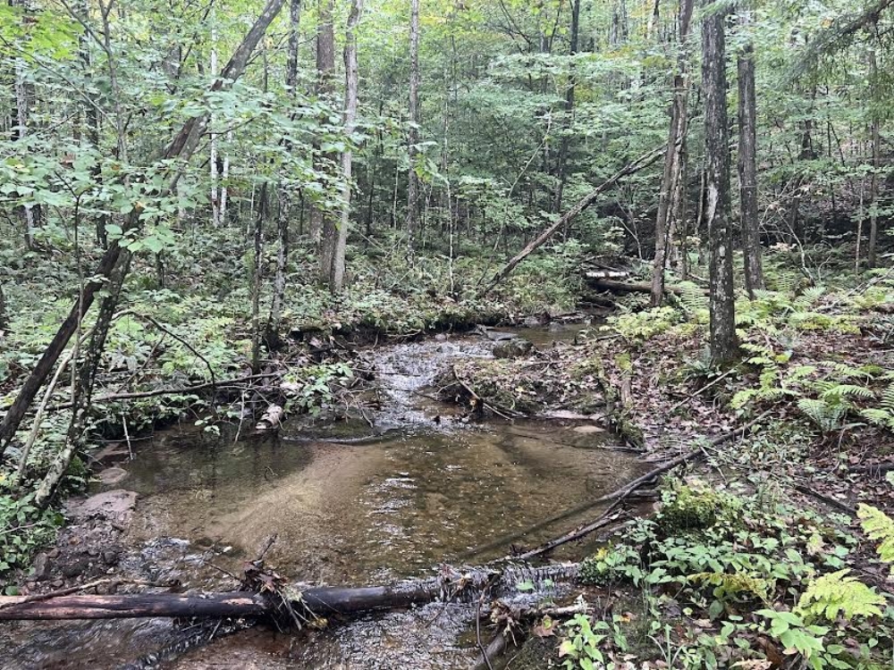Lake Champlain Land for Sale with OffGrid Cabin