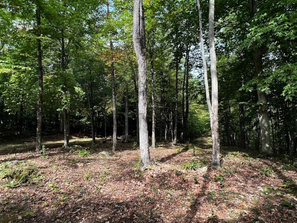 Lake Champlain Land for Sale with Off-Grid Cabin