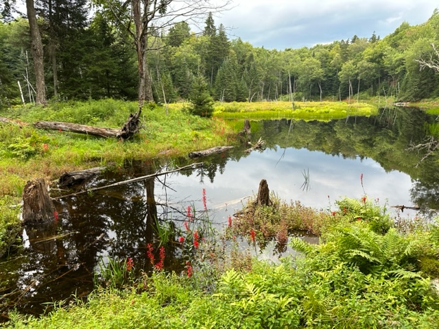 Twin Pond Preserve's Lot 54 with pond frontage