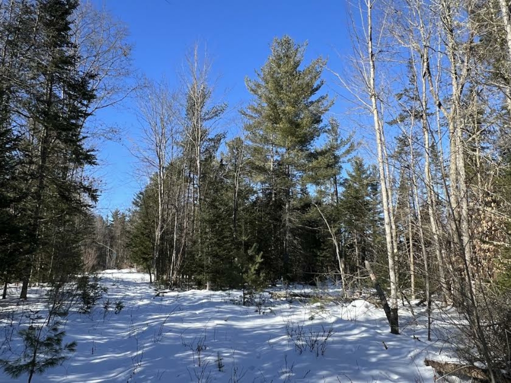 10 Acres of Land for Sale Near Lake Placid Whiteface Mt Region
