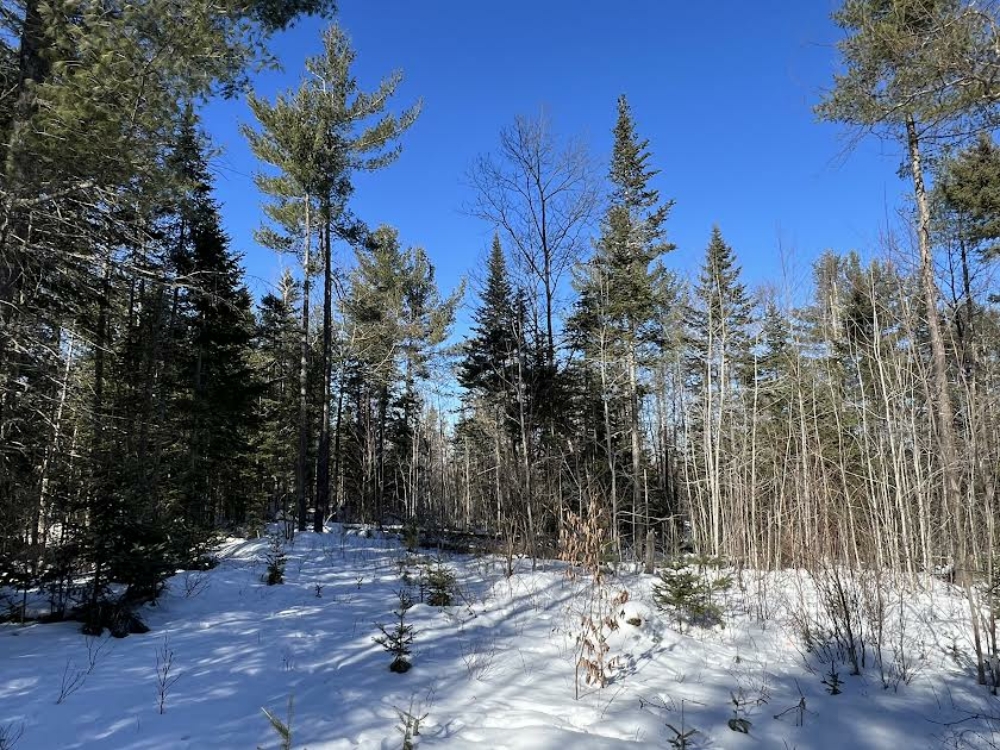 10 Acres of Land for Sale Near Lake Placid Whiteface Mt Region