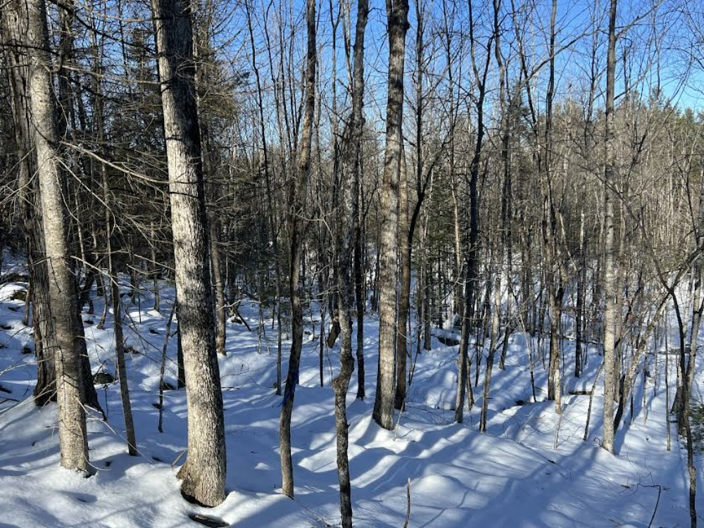 10 Acres of Land for Sale Near Lake Placid Whiteface Mt Region