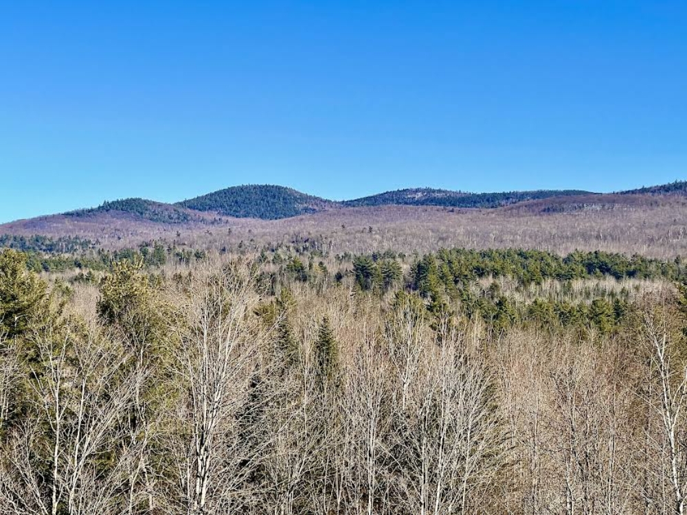 10 Acres of Land for Sale Near Lake Placid Whiteface Mt Region