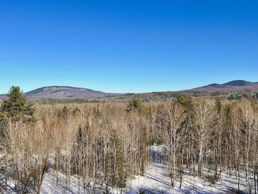 10 Acres of Land for Sale Near Lake Placid Whiteface Mt Region