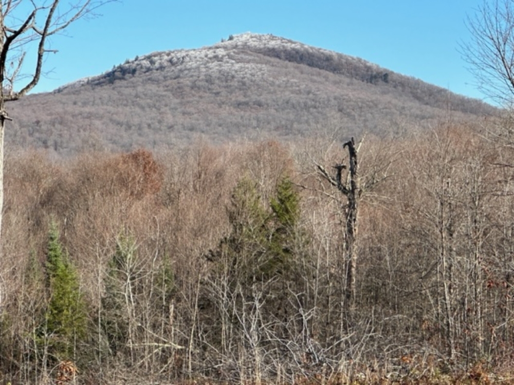 47 Acres with Deeded Lake Access Adirondack Land for Sale