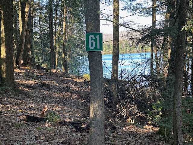 Lot 61 marker on tree in Twin Ponds Preserve