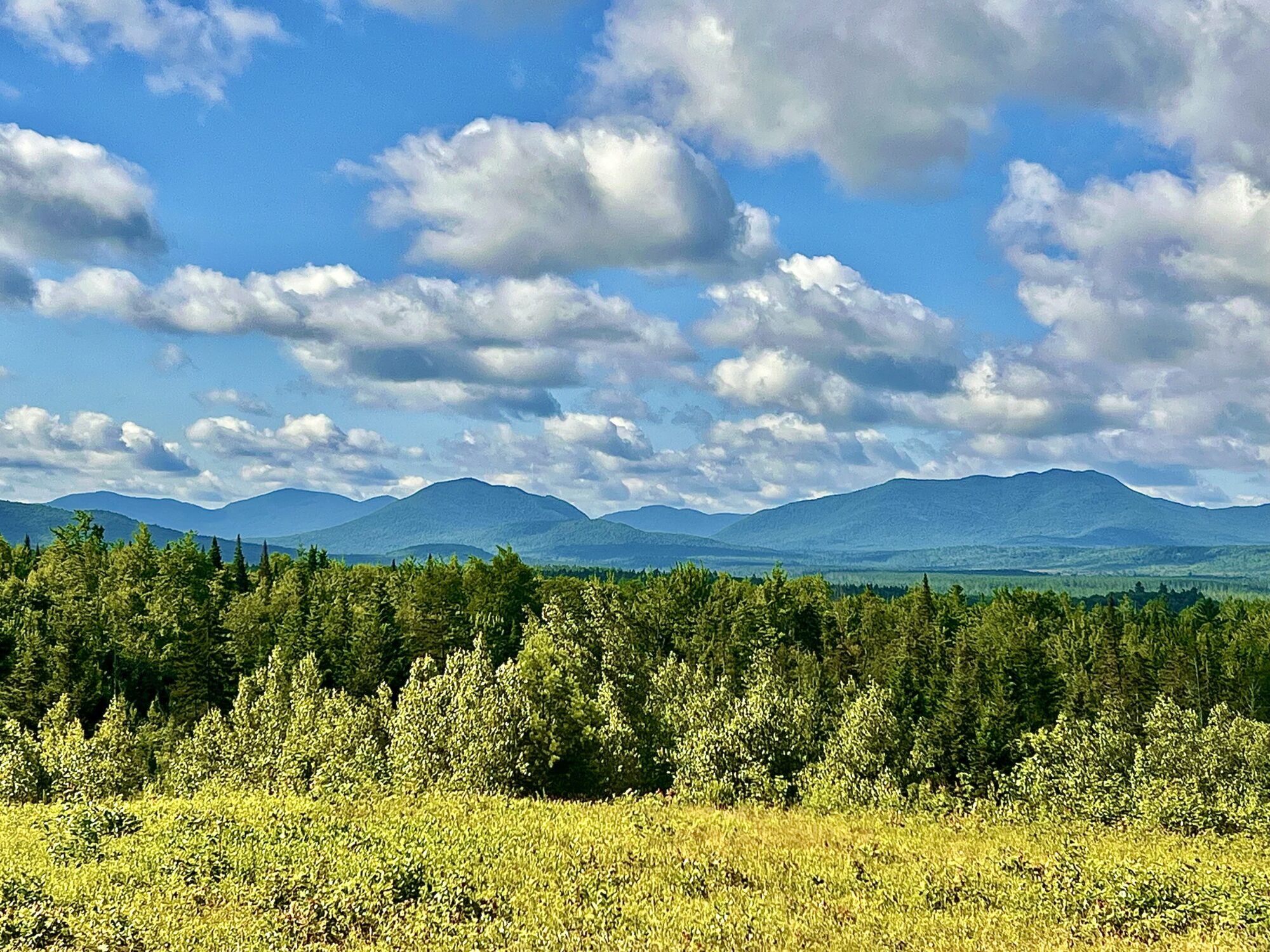 blue sky with clouds over mountain peaks and green forest
