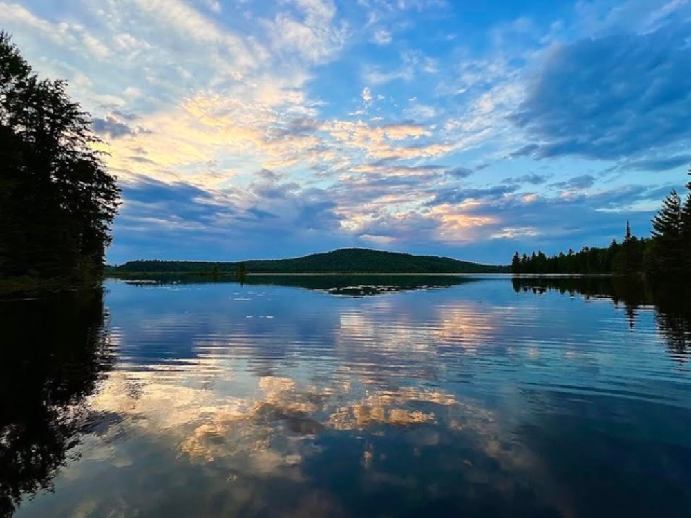pond'sツウィ Lot 51 - Secluded Homesite with Wildlife Pond