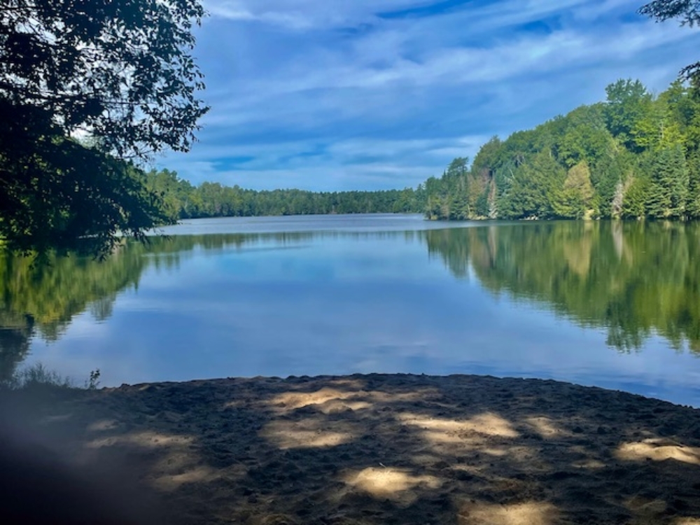 Lot 51 - Secluded Homesite with Wildlife Pond